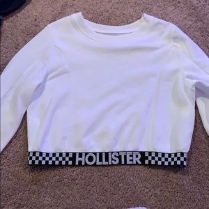 Hollister ( medium)